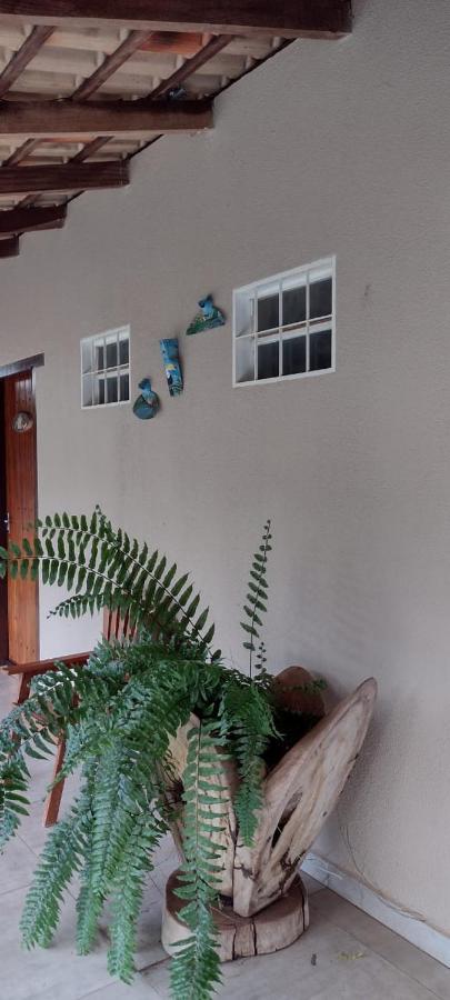 Apartamento Rota águas Nobres